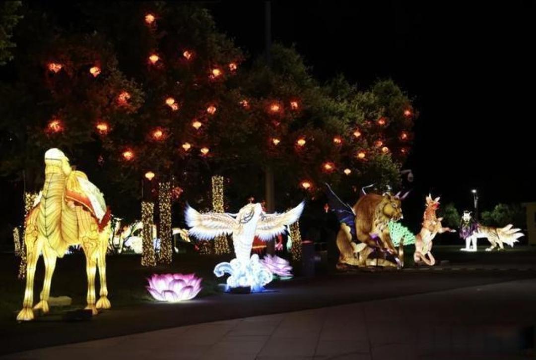 北京世园避暑节开启夏夜盛宴:无人机天幕秀、烟火市集、星空露营邂逅23℃清凉