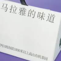 这款