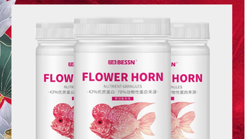 BESSN 罗汉鱼饲料：助力爱鱼完美蜕变