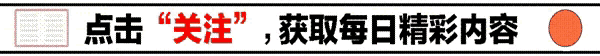 教育专家私藏3部顶级教育动画！数学英语科学全搞定（分龄推荐）