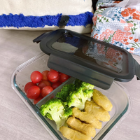 TOMONI 玻璃饭盒：上班族的完美带饭伴侣