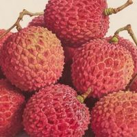 一斤2元，荔枝跌成白菜价