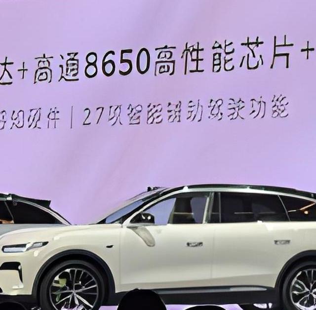 零跑发寻人启事！买了NAP的老车主来找我们退钱