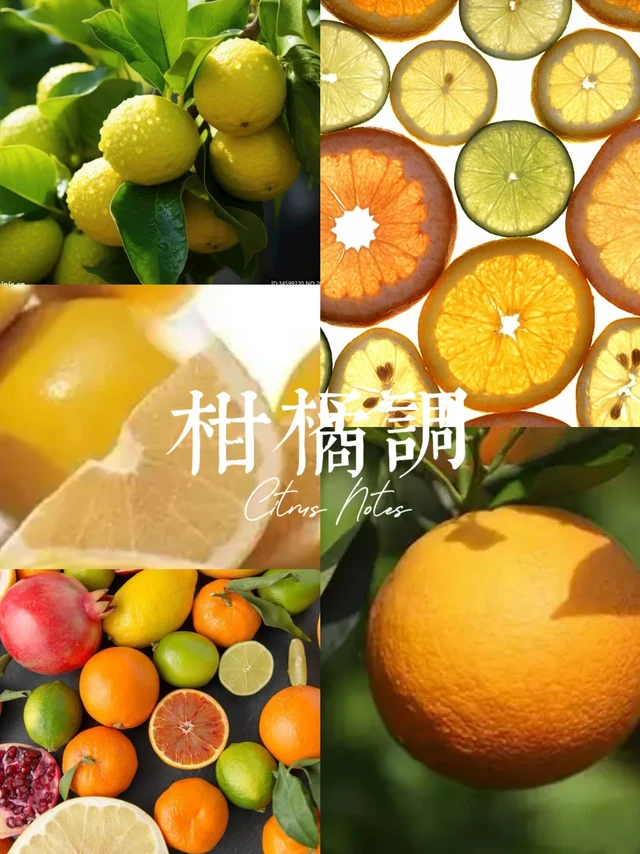 香水的十二香调