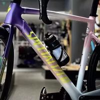 铝架之王的新生：Specialized Allez Sprint车架组