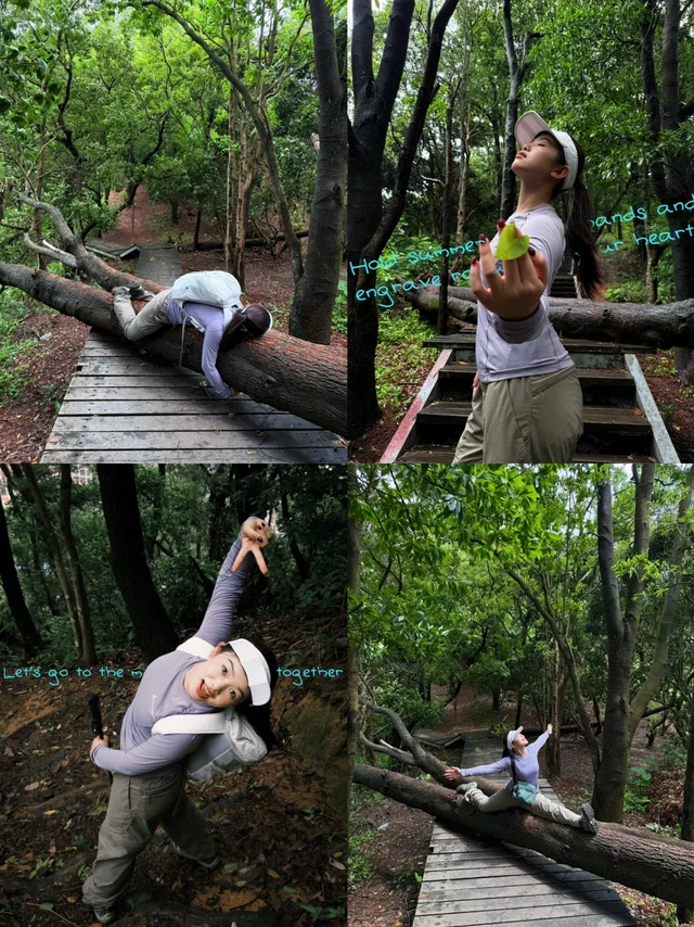 ⛰️户外爬山记｜深圳都市隶人下班后做些什么
