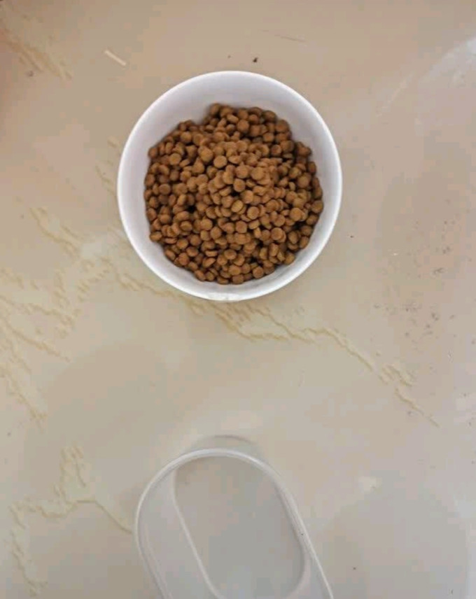 奥丁猫咪干粮