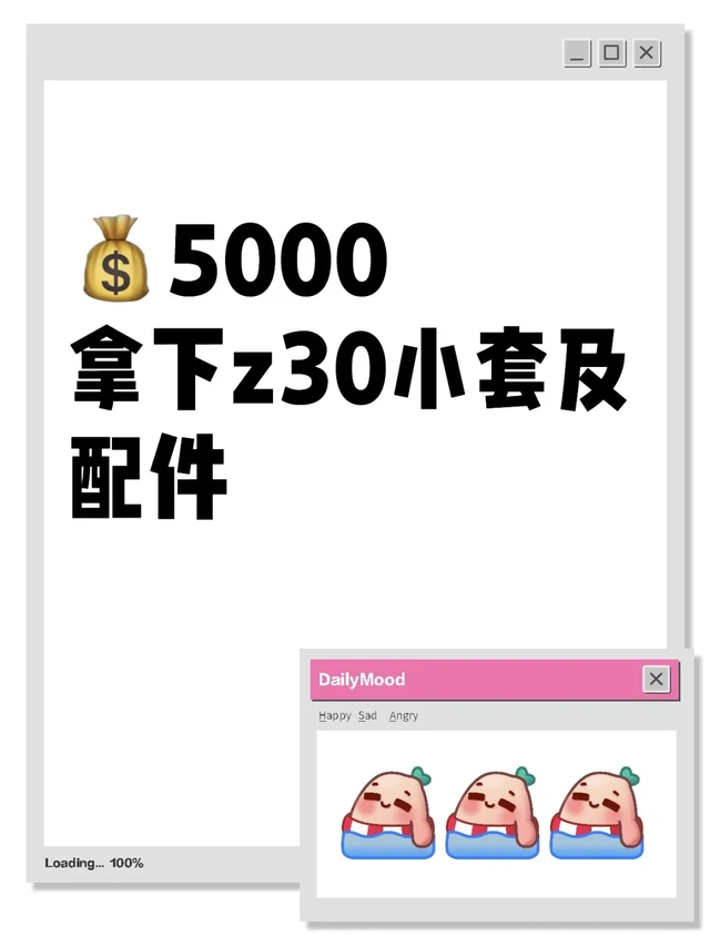 Z30小套及配件拿下！