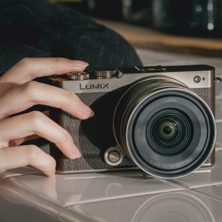松下 LUMIX S9 钛金色预售：L卡口、三层涂装，套机10599元
