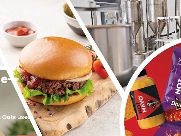 科技+教育双突破！Moolec合成猪血红素专利落地，中农大宠物食品专业招生启动 | 7月9日