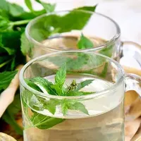 🌿阳台上的营养黑马：薄荷才是隐藏的补钙高手！