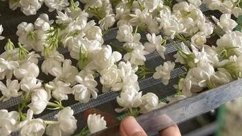 为什么干的茉莉花花瓣茶不香，而茉莉花绿茶那么香？