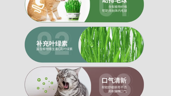 俘获旗舰店：轻松猫草盆栽，猫咪的绿色健康之选
