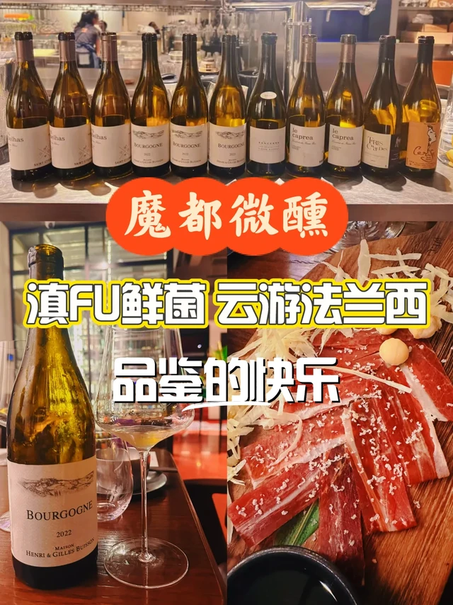 魔都微醺|时今鲜菌你们都搭配哪款葡萄酒？