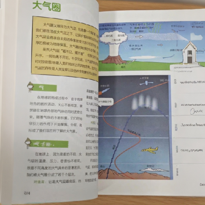 三只蓝猫科普/百科