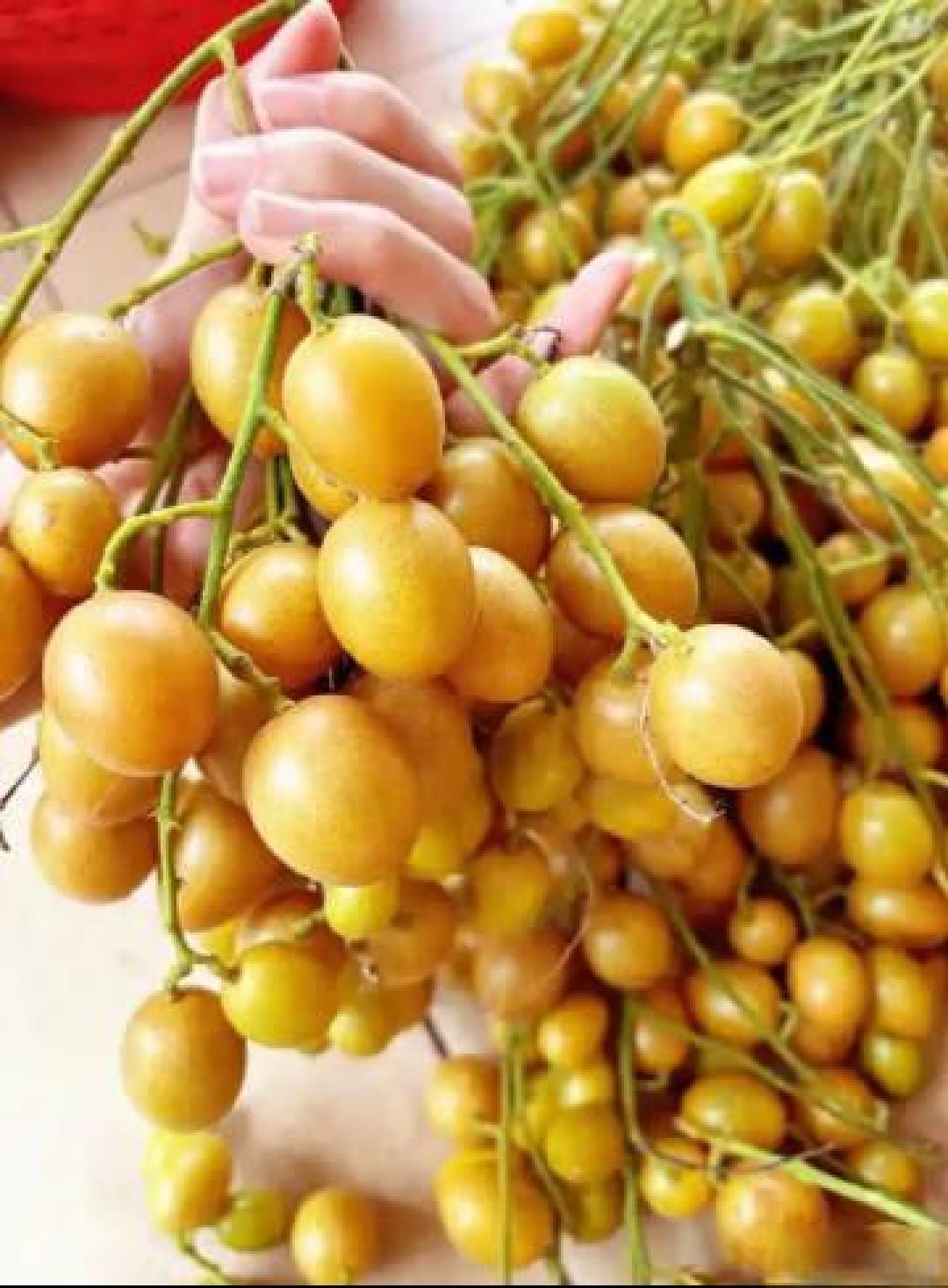 黄皮膏古法焕新记：烟火熬煮中的盛夏清凉传承