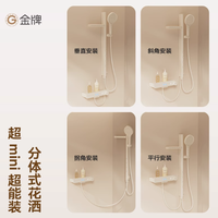 金牌卫浴五金旗舰店简易花洒套装：小户型的精致淋浴之选
