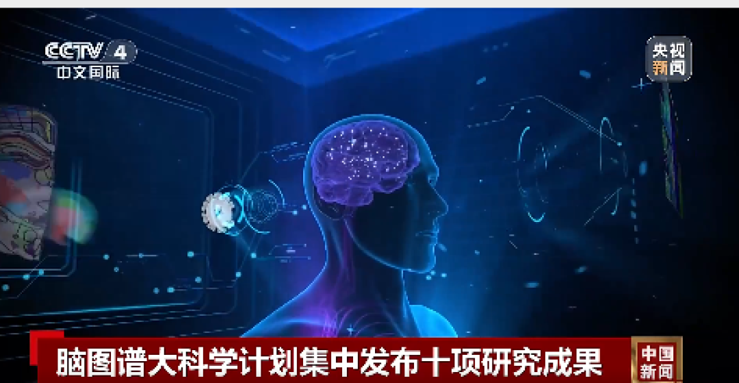 我国科学家在世界上首次绘制!十项重磅脑科学成果“一锅出”