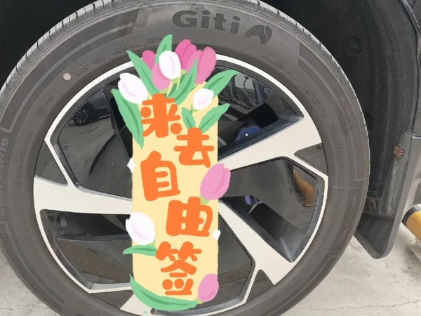 小海狮的轮胎前后有玄机🤪