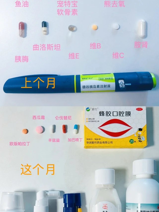 老小狗糖尿病治疗day1375