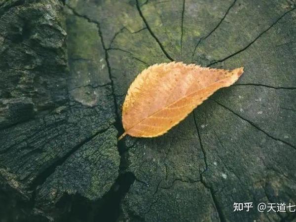 人活着就是在对抗熵增定律，生命以负熵为生。