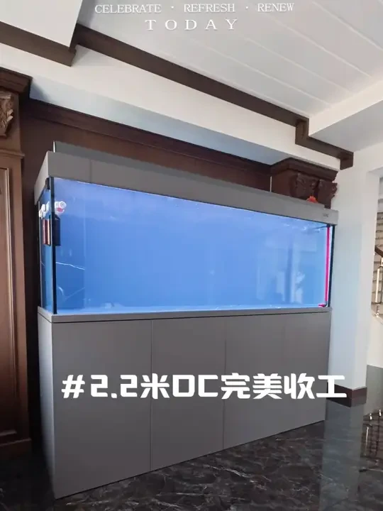 #彩鲽鱼缸#彩鲽DC #龙鱼缸 #鱼缸滤材 2.2米DC完美收工