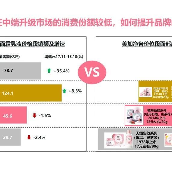 美加净品牌战略升级方案：天然养肤专家转型之路-66P
