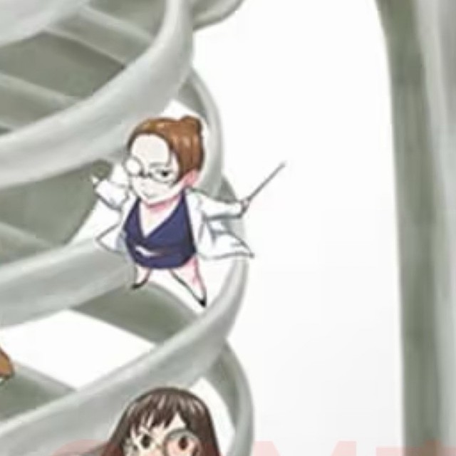 一本了解人体结构的好书