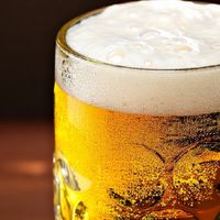 艾尔啤酒与拉格啤酒的科学解码