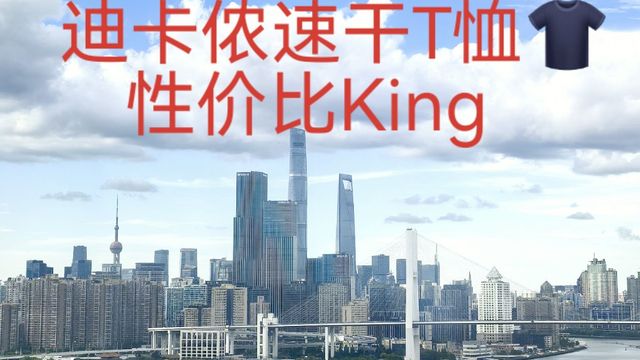25块钱迪卡侬速干圆领T恤，啥叫性价比？这就叫性价比！