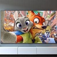选电视不再难：TCL T6L Pro体验