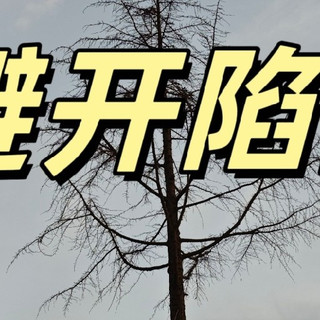 🍺啤酒小白扫盲指南|看完你比酒桌老司机还懂!