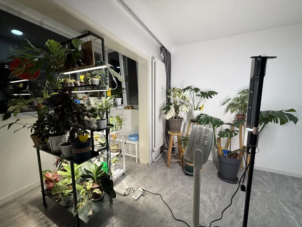🌿绿植控的家，幸福感爆棚！