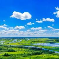 黑龙江22℃纳凉秘籍：高山草甸数野花，密林氧吧追驯鹿，房车夜观银河爽翻夏

（注：标题共25字，核心提炼了文中凤凰山草甸、伊春密林追鹿、抚远房车观星三大避暑场景亮点，用"22℃"直观传递温度优势，"爽翻夏"突出对比南方的极致凉爽体验，符合互联网标题冲击力与信息密度的要求。）