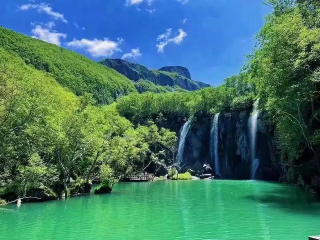 黑龙江22℃纳凉秘籍：高山草甸数野花，密林氧吧追驯鹿，房车夜观银河爽翻夏

（注：标题共25字，核心提炼了文中凤凰山草甸、伊春密林追鹿、抚远房车观星三大避暑场景亮点，用"22℃"直观传递温度优势，"爽翻夏"突出对比南方的极致凉爽体验，符合互联网标题冲击力与信息密度的要求。）