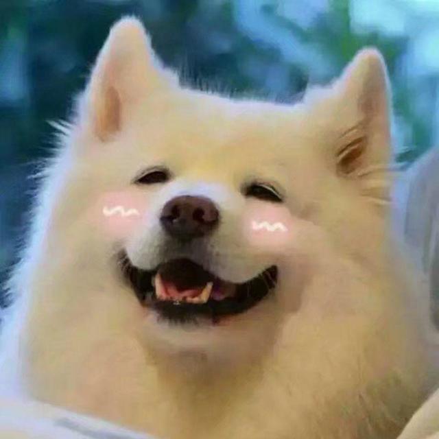 2025 狗粮推荐：美毛不踩雷