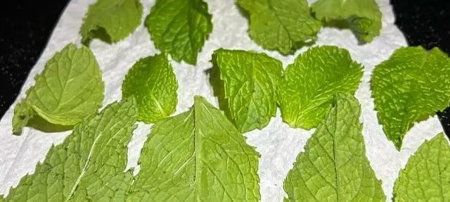 第一次感受到“微波炉”的杀伤力，打开思路，用法居然这么多！
