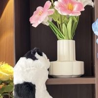 新家漂亮又实用的小物件，进来看看有没有你想不到的小巧思～