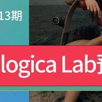 陌鱼社区 篇零：意大利Analogica Lab专业复古电影美学胶片模拟LUT视频调色预设包