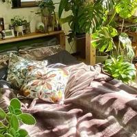 女子晒“养满绿植的卧室”，像住进了森林，网友：有病别拖，得治