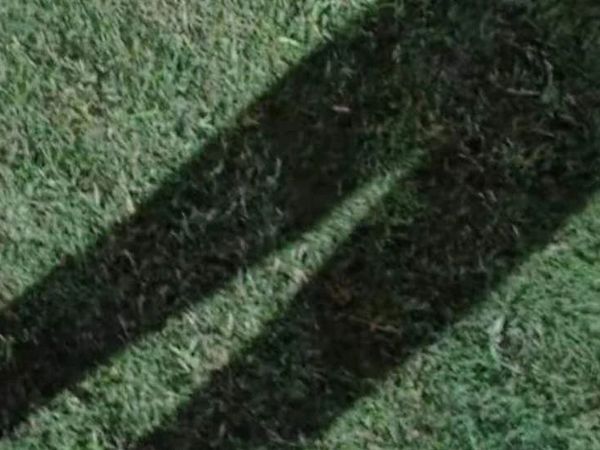 川宁生物（IPO阅读，日常练习）