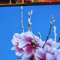 折叠屏手机，屏幕体验与便携性的平衡？