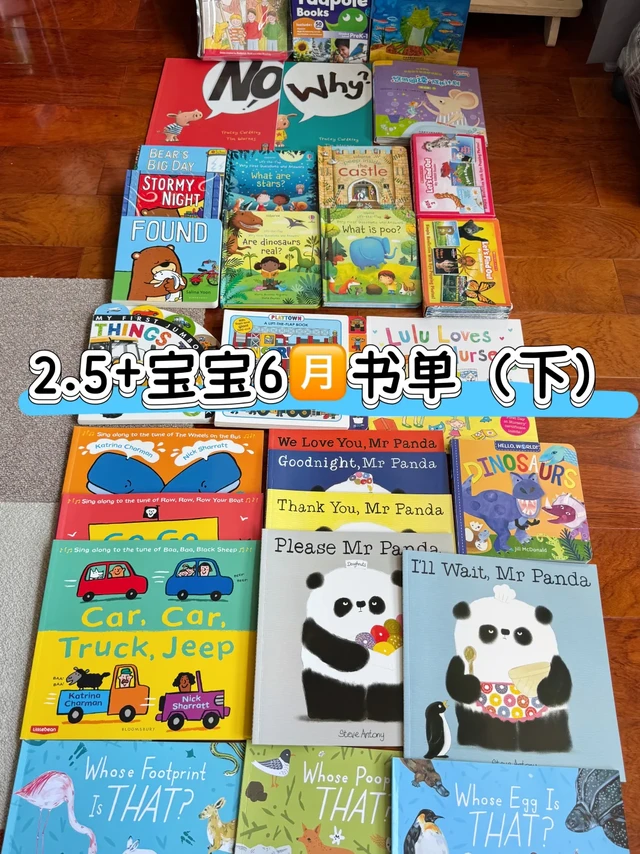 2.5+宝宝6🈷️书单｜📚（英文+分级）