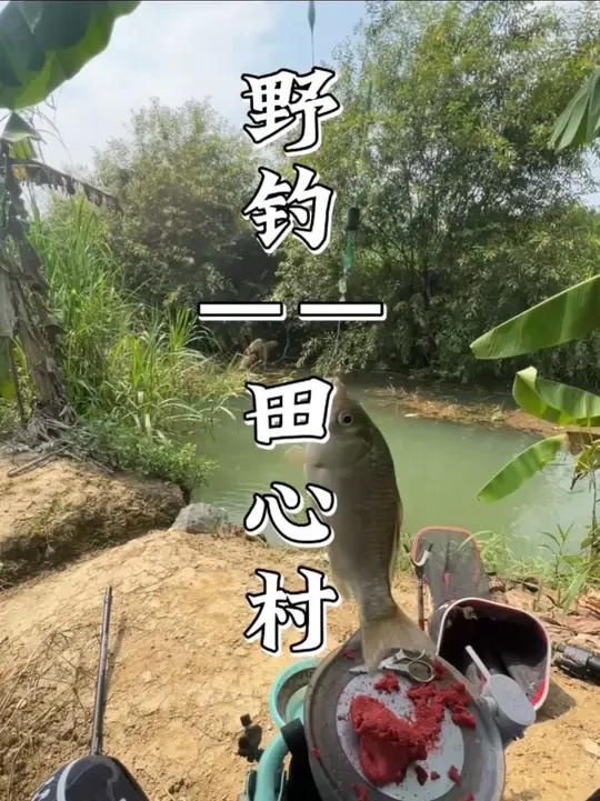 这么热的天气钓鱼，简直太舒适了#钓鱼 #沃鼎王者神剑三代 #钓鱼人 #爱生活爱钓鱼 #户外钓鱼
