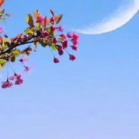 带上它们，露营拍照两不误