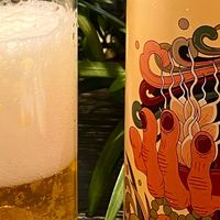 适合夏天喝的精酿|一口优雅的茉莉花~
