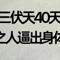 脾胃虚弱寒湿之人？夏季赶走寒湿的黄金三伏40天来了！