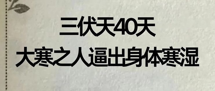 脾胃虚弱寒湿之人？夏季赶走寒湿的黄金三伏40天来了！