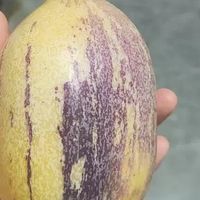 甜蜜的沙漠馈赠