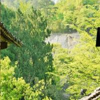 吕思勉笔下的民族交融之路！